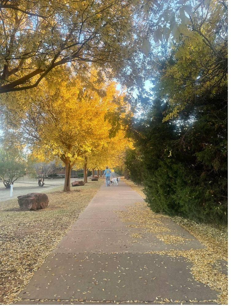 Kristine walking Chicken Nugget on a beautiful autumn path